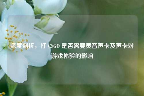 深度剖析，打 CSGO 是否需要灵音声卡及声卡对游戏体验的影响