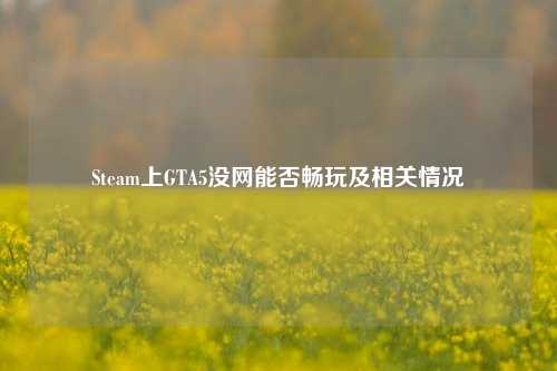 Steam上GTA5没网能否畅玩及相关情况