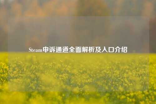 Steam申诉通道全面解析及入口介绍