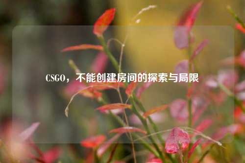 CSGO，不能创建房间的探索与局限