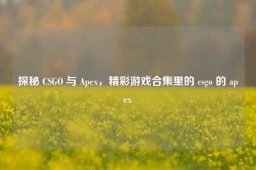 探秘 CSGO 与 Apex，精彩游戏合集里的 csgo 的 apex