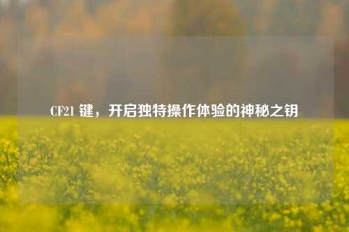 CF21 键,开启独特操作体验的神秘之钥