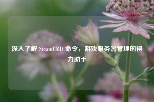 深入了解 SteamCMD 命令，游戏服务器管理的得力助手