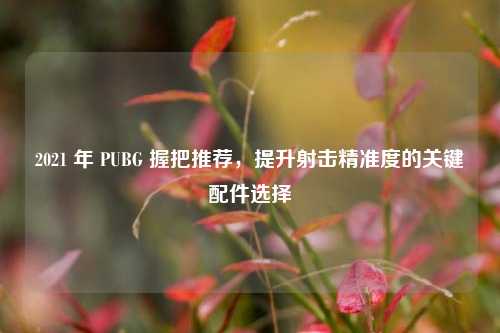 2021 年 PUBG 握把推荐，提升射击精准度的关键配件选择