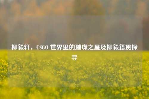 柳毅轩,CSGO 世界里的璀璨之星及柳毅籍贯探寻