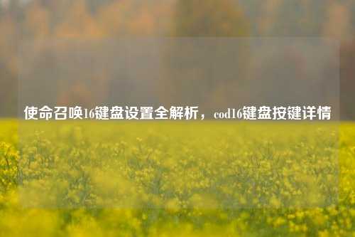 使命召唤16键盘设置全解析,cod16键盘按键详情