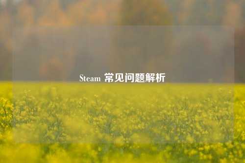 Steam 常见问题解析