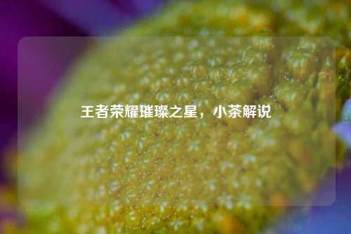王者荣耀璀璨之星,小茶解说