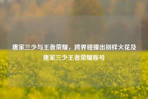 唐家三少与王者荣耀,跨界碰撞出别样火花及唐家三少王者荣耀账号