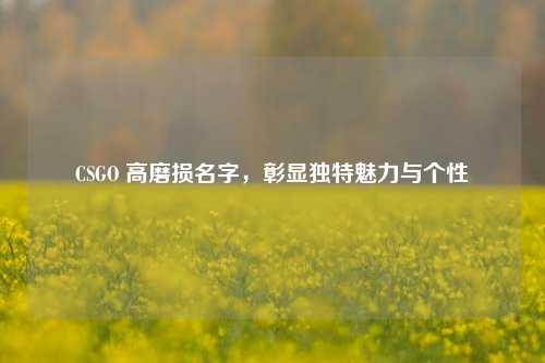 CSGO 高磨损名字,彰显独特魅力与个性