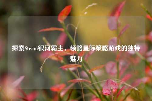 探索Steam银河霸主,领略星际策略游戏的独特魅力