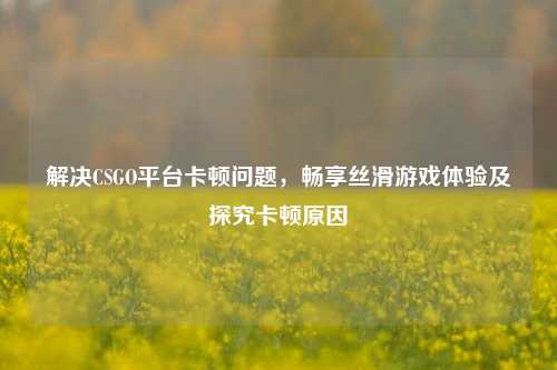 解决CSGO平台卡顿问题，畅享丝滑游戏体验及探究卡顿原因