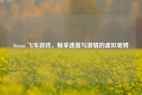 Steam 飞车游戏,畅享速度与激情的虚拟驰骋