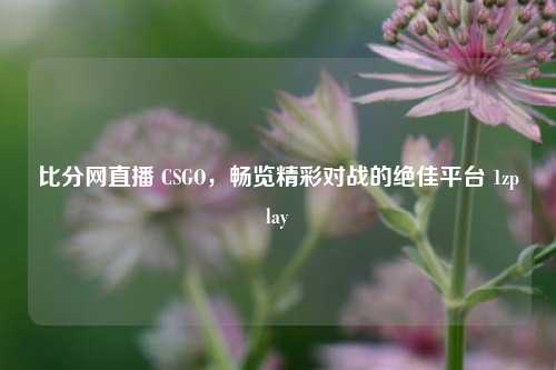 比分网直播 CSGO，畅览精彩对战的绝佳平台 1zplay