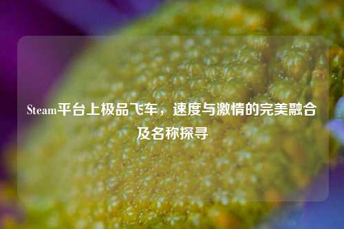 Steam平台上极品飞车,速度与激情的完美融合及名称探寻