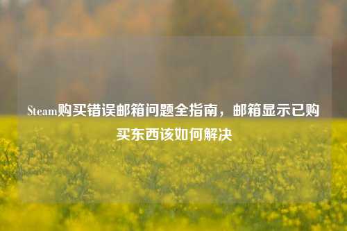 Steam购买错误邮箱问题全指南,邮箱显示已购买东西该如何解决