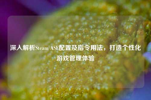 深入解析Steam ASF配置及指令用法，打造个性化游戏管理体验