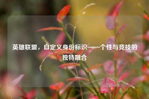 英雄联盟,自定义身份标识——个性与竞技的独特融合