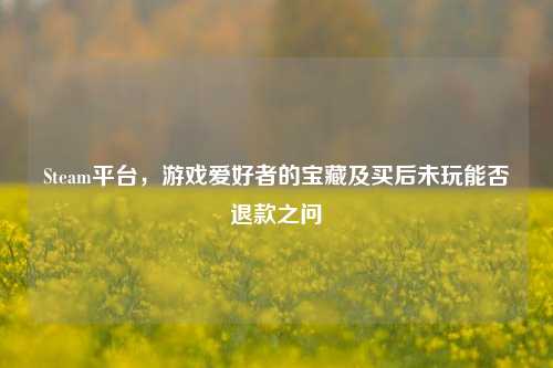 Steam平台,游戏爱好者的宝藏及买后未玩能否退款之问