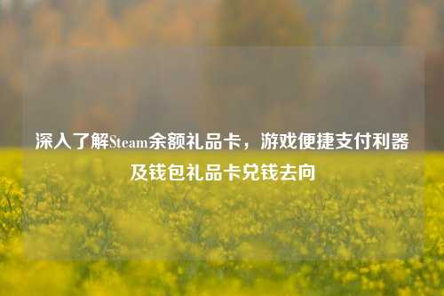 深入了解Steam余额礼品卡,游戏便捷支付利器及钱包礼品卡兑钱去向