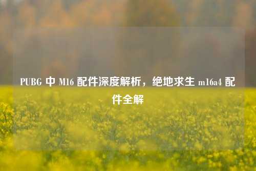 PUBG 中 M16 配件深度解析,绝地求生 m16a4 配件全解