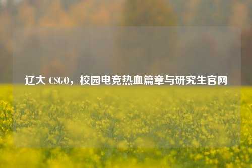 辽大 CSGO,校园电竞热血篇章与研究生官网
