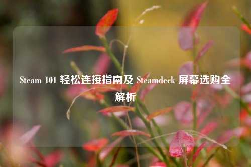 Steam 101 轻松连接指南及 Steamdeck 屏幕选购全解析
