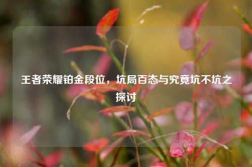 王者荣耀铂金段位,坑局百态与究竟坑不坑之探讨