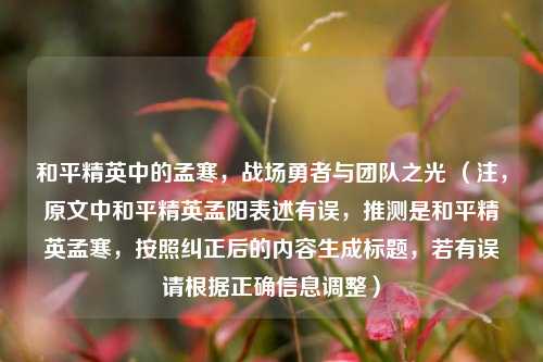 和平精英中的孟寒,战场勇者与团队之光 (注,原文中和平精英孟阳表述有误,推测是和平精英孟寒,按照纠正后的内容生成标题,若有误请根据正确信息调整)