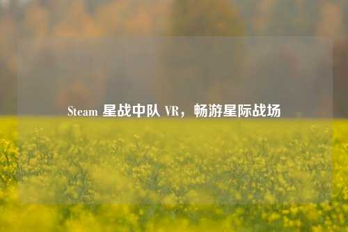 Steam 星战中队 VR,畅游星际战场