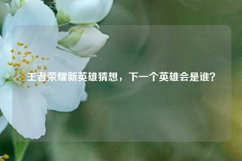 王者荣耀新英雄猜想,下一个英雄会是谁?