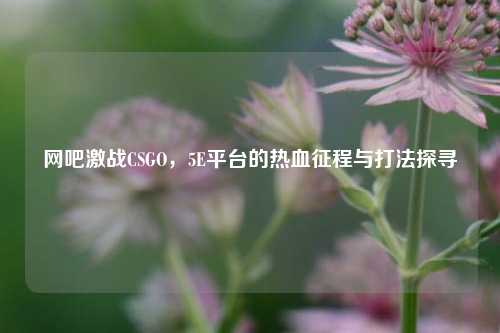 网吧激战CSGO,5E平台的热血征程与打法探寻