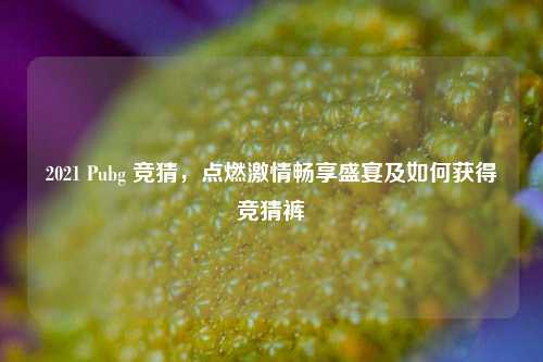 2021 Pubg 竞猜,点燃激情畅享盛宴及如何获得竞猜裤