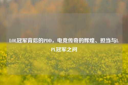 LOL冠军背后的PDD,电竞传奇的辉煌、担当与LPL冠军之问