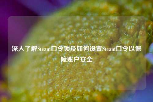 深入了解Steam口令锁及如何设置Steam口令以保障账户安全