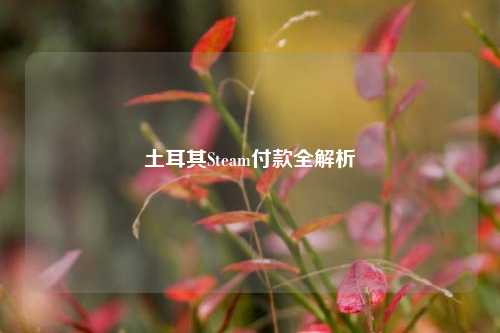 土耳其Steam付款全解析