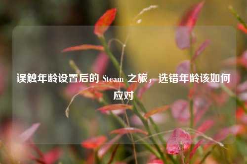 误触年龄设置后的 Steam 之旅,选错年龄该如何应对