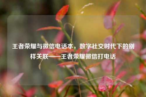 王者荣耀与微信电话本,数字社交时代下的别样关联——王者荣耀微信打电话