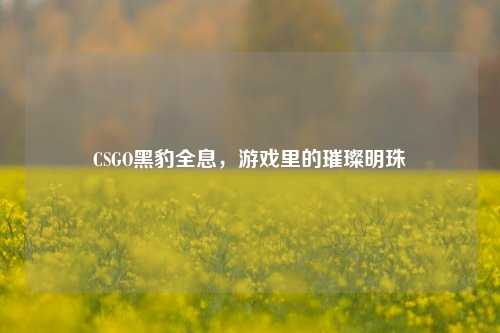 CSGO黑豹全息,游戏里的璀璨明珠