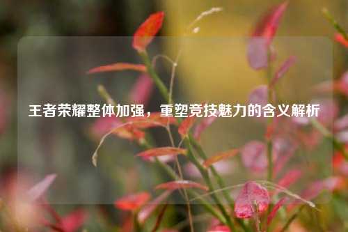 王者荣耀整体加强,重塑竞技魅力的含义解析