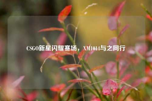 CSGO新星闪耀赛场,XM1014与之同行