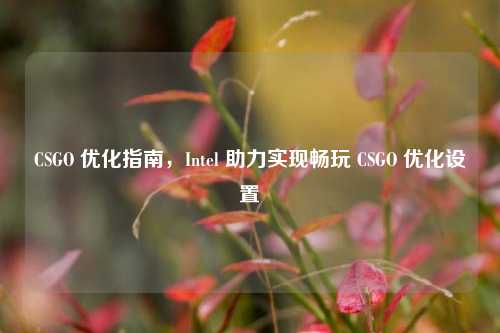 CSGO 优化指南，Intel 助力实现畅玩 CSGO 优化设置