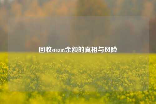 回收steam余额的真相与风险