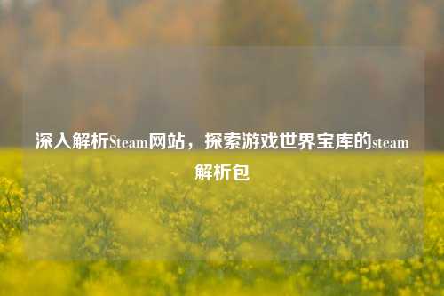 深入解析Steam网站,探索游戏世界宝库的steam解析包