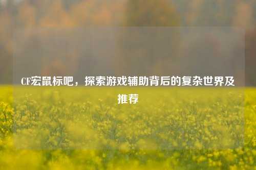 CF宏鼠标吧,探索游戏辅助背后的复杂世界及推荐