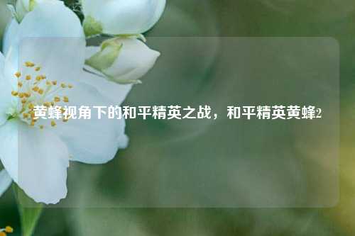 黄蜂视角下的和平精英之战,和平精英黄蜂2