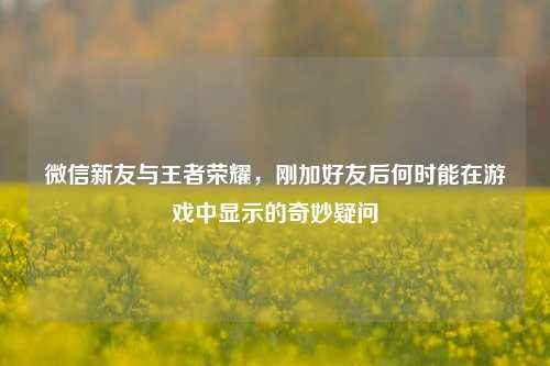微信新友与王者荣耀，刚加好友后何时能在游戏中显示的奇妙疑问