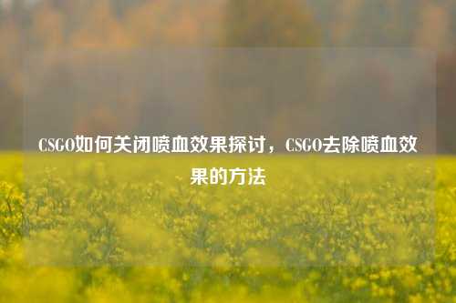 CSGO如何关闭喷血效果探讨，CSGO去除喷血效果的方法
