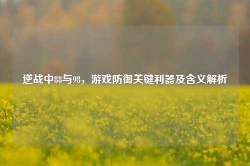 逆战中88与98，游戏防御关键利器及含义解析