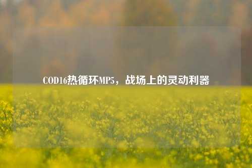 COD16热循环MP5,战场上的灵动利器